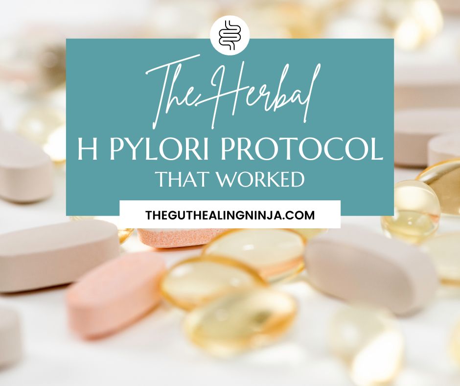 The Herbal H Pylori Protocol that Worked | The Gut Healing Ninja