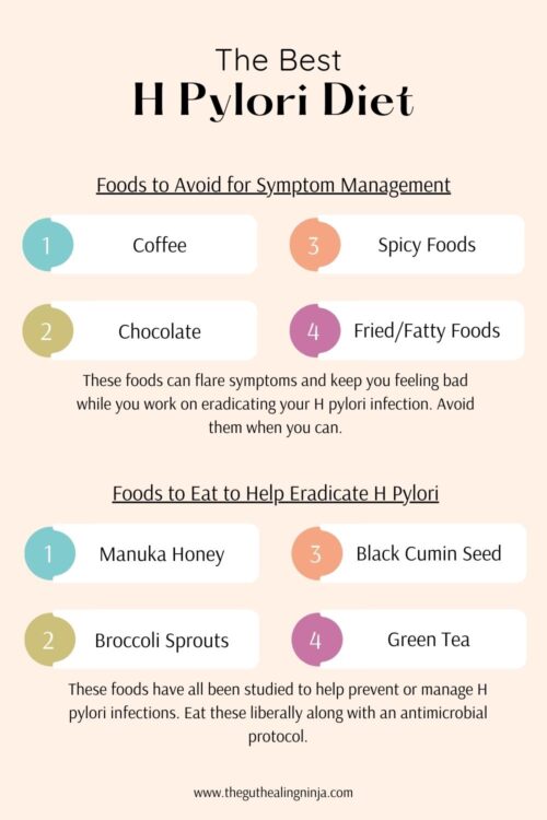The Best H Pylori Diet To Manage Symptoms The Gut Healing Ninja the-best-h-pylori-diet-to-manage-symptoms-the-gut-healing-ninja