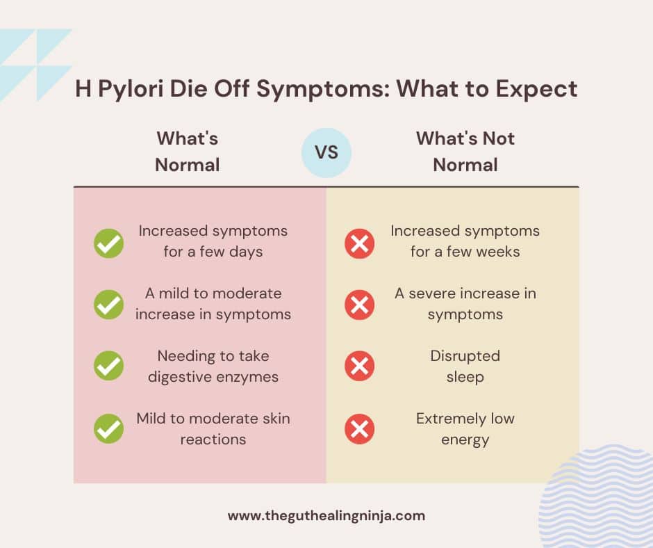 H Pylori Die Off Symptoms What to Expect